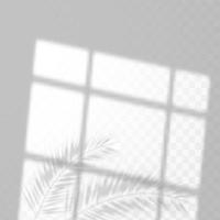 Realistic shadow of tropical leaves or branches on transparent checkered background. The effect of overlaying shadows. Natural light layout. vector