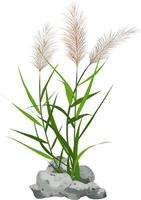 Hand drawn reed or pampas grass surrounded by gray stones. Cane silhouette on white background.  Border or frame of green plants. vector