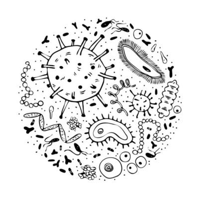 Microbes in a circle. Doodle bacterial cells are spherical and rod-shaped. A large collection of bacteria species. Vector stock illustration isolated on white background.