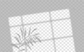 Realistic shadow of tropical leaves or branches on transparent checkered background. The effect of overlaying shadows. Natural light layout. vector