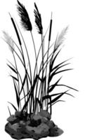 Hand drawn reed or pampas grass surrounded by gray stones. Cane silhouette on white background.  Border or frame of green plants. vector