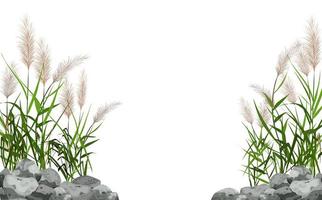 Hand drawn reed or pampas grass surrounded by gray stones. Cane silhouette on white background.  Border or frame of green plants. vector