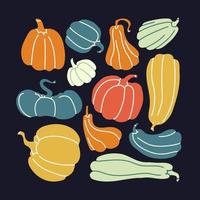 Autumn cartoon pumpkin set. Collection of green, orange, yellow pumpkins of different shapes and sizes. Vector stock illustration on dark background.