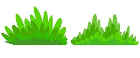 green bush isolated on white background vector