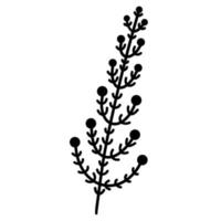 Vector icon branch with leaves and berries. Hand-drawn botanical element. Doodle isolated on white background. Plant outline. Silhouette of wild grass. Flat style, monochrome.