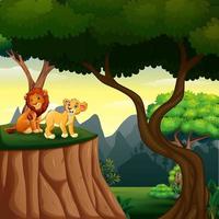 escena del bosque con leones en la ilustración del acantilado vector
