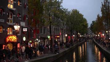 nachtleven op straat van rode lichten en seksindustrie van amsterdam, club, winkel