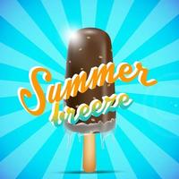 Chocolate ice cream bar on a stick, summer breeze concept.Vector vector