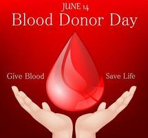 World blood donor day vector