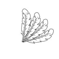 Bird feather. Plumage of flying animal. Decorative element. vector