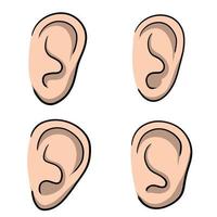 oreja. parte del cuerpo humano. elemento de la cabeza. símbolo de escuchar y escuchar a escondidas. vector