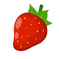 Strawberry. Red sweet berry. Dessert and natural food. vector