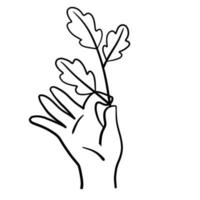 Hand with branch with leaves. Fresh Plant in palm. vector