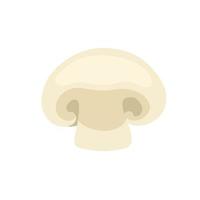 Champignon. Mushroom with a brown cap. Natural product from the forest. vector