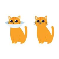 sick cat with collar cone illustrationsick cat with collar cone illustration vector