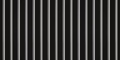 Realistic prison metal bars. Prison fence. Jail grates. Iron jail cage. Metal rods. Criminal grid background. Vector pattern. Illustration isolated on black background