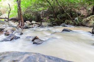 Close up green forest waterfall photo