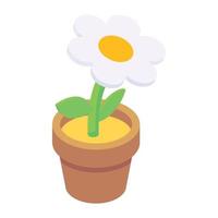 Isometric icon of potted daisy plant, indoor home decor vector