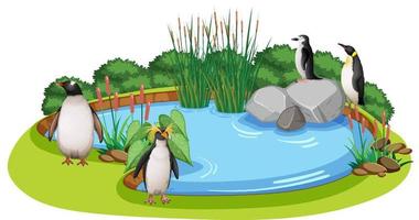 Scene with penguins around the pond vector