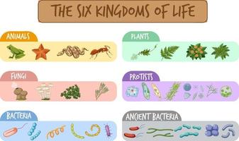 Diagram showing six kingdoms of life vector