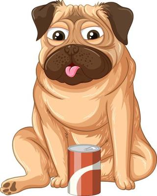 A Happy dog drinking cola on white background