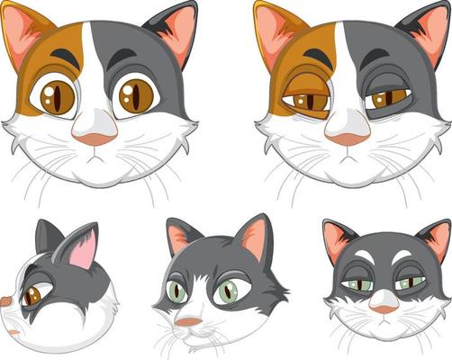 A set of cat's head on white background