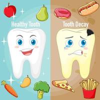 infografía de dientes sanos y caries vector