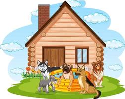 Five dogs playing in the pool at home vector