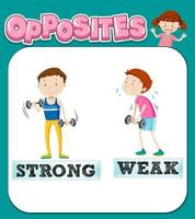 Opposite words for strong and weak vector