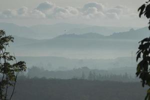 los árboles están nublados por la mañana con un fondo montañoso y nubes blancas. es una vista desde una altura