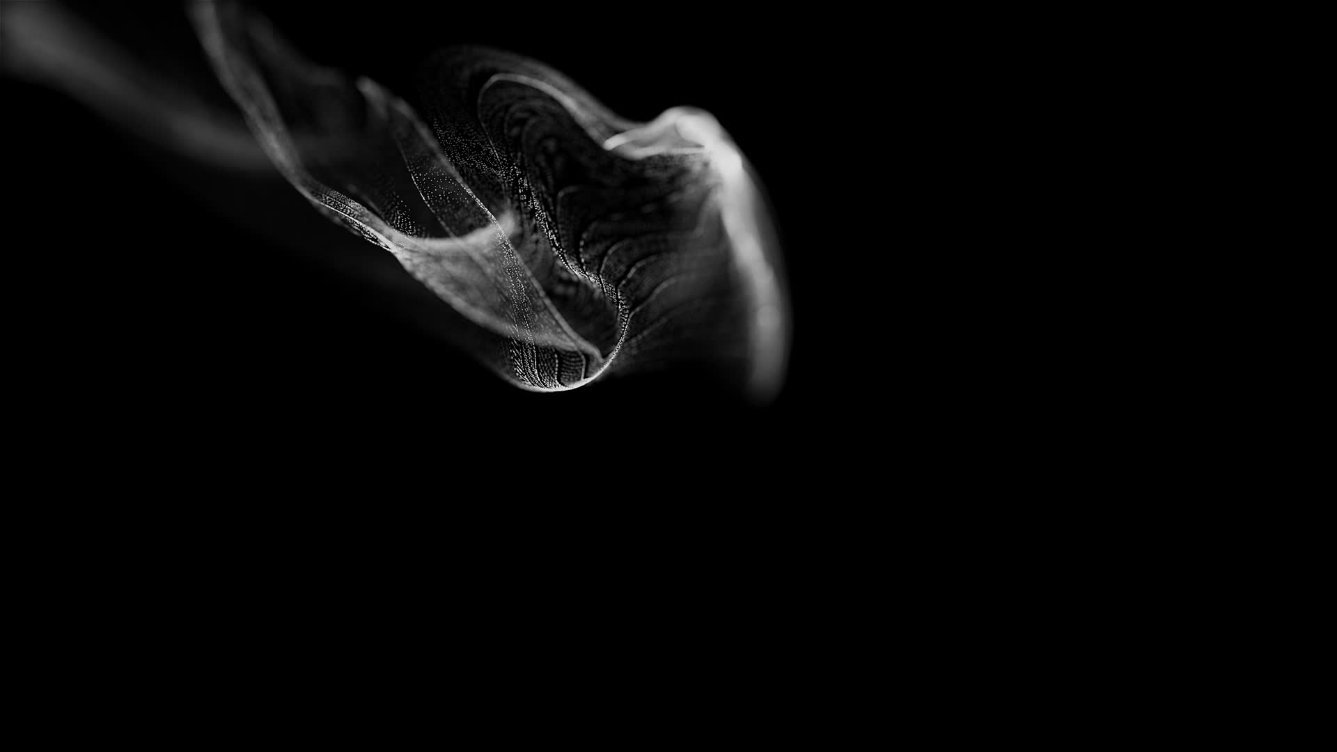 White Particles Fluid on black background footage 6435537 Stock Video