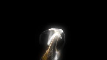 Abstract Golden white Energy Fluid particles background video animation