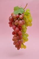 Red And White Grapes Bunches Isolated photo