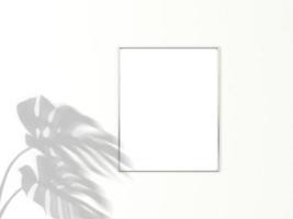 4x5 vertical Chrome frame for photo or picture mockup on white background with shadow of monstera leaves. 3D rendering.