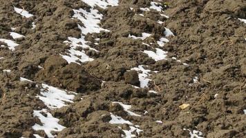 the snow is melting on the ground. Plowed soil. The field is ready for agricultural work. Black soil. Farming field photo