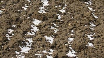 the snow is melting on the ground. Plowed soil. The field is ready for agricultural work. Black soil. Farming field photo