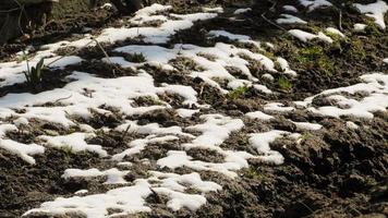 la nieve se está derritiendo en el suelo. suelo arado. el campo está listo para el trabajo agrícola. suelo negro campo de cultivo foto