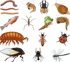 diferentes tipos de insectos y animales sobre fondo blanco vector