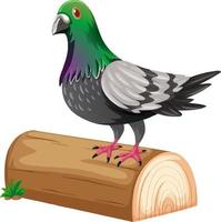 A pigeon standing on a log vector