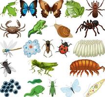 diferentes tipos de insectos y animales sobre fondo blanco vector