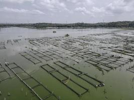 Aerial view of traditional floating fish pond on swamp in Indonesia photo