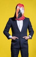 man with a parrot mask on a yellow background photo