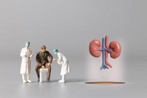 Doctor studying and treating human Kidney  , World Health Day concept photo