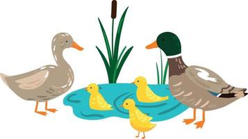 ilustración de la familia de patos con patitos en el estanque vector