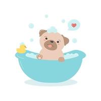 pug kawaii en un baño con burbujas y juguete de pato de goma. lindo perro de dibujos animados para el salón de aseo de mascotas. ilustración vectorial aislado sobre fondo blanco vector