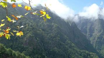 Amazing view of different mountain peaks in Madeira Island, Portugal during a sunny day with clouds passing. Beautiful mountain range. Yellow leaves in the tree, autumn feeling. Travel the world. video