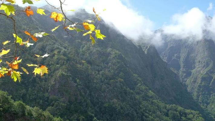 高山影片