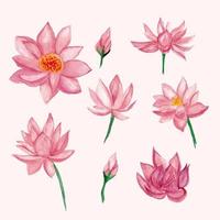 Lotus flower object with watercolor style vector