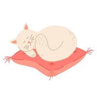 Cat sleeps on the pillow. Cute hand draw Sleeping cat. Pet. Coziness and comfort. Hand draw Vector illustration.