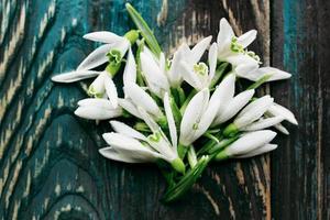 white snowdrops on wooden background. Spring, renewal concept photo